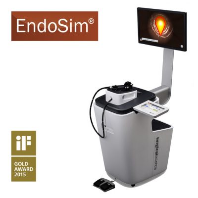 EndoSim-System
